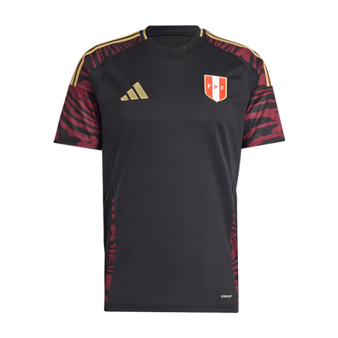 1er kit de l'équipe nationale argentine 